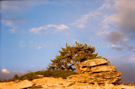 http://www.sandlerphotography.com/Photos/DH120001 -2 -LR.JPG